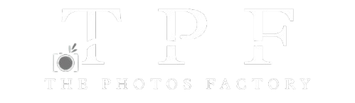 Professional Camera
